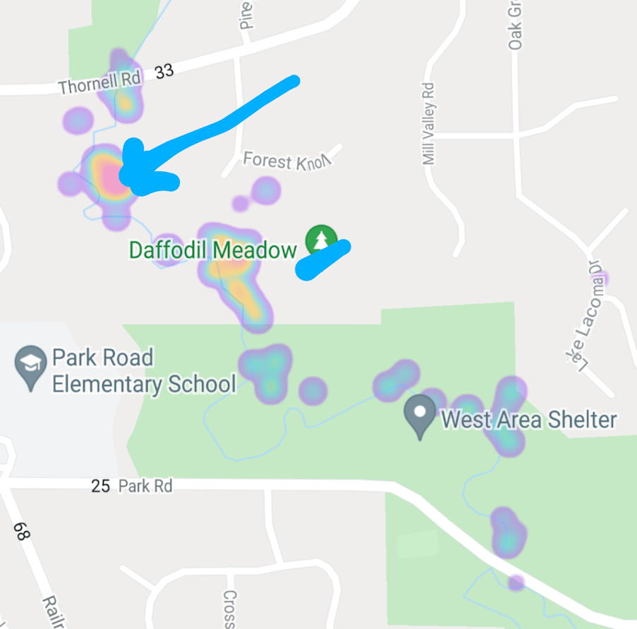 Location of the Daffodil Meadow