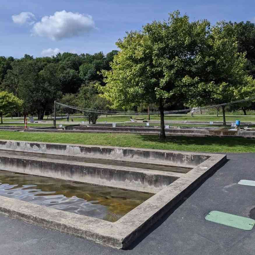 Powder Mills Park Day Trips Around Rochester, NY