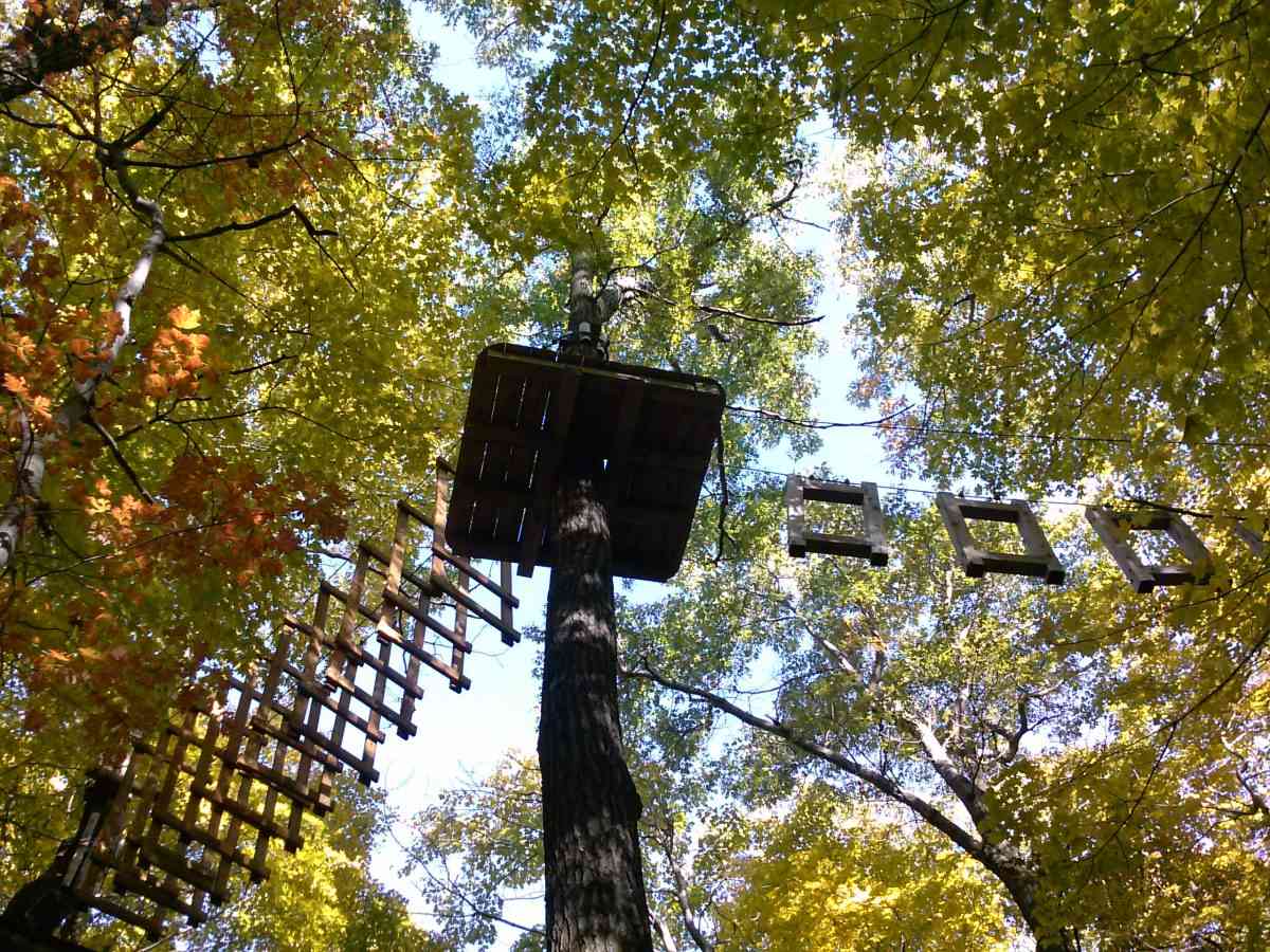 Aerial Adventures ropes course