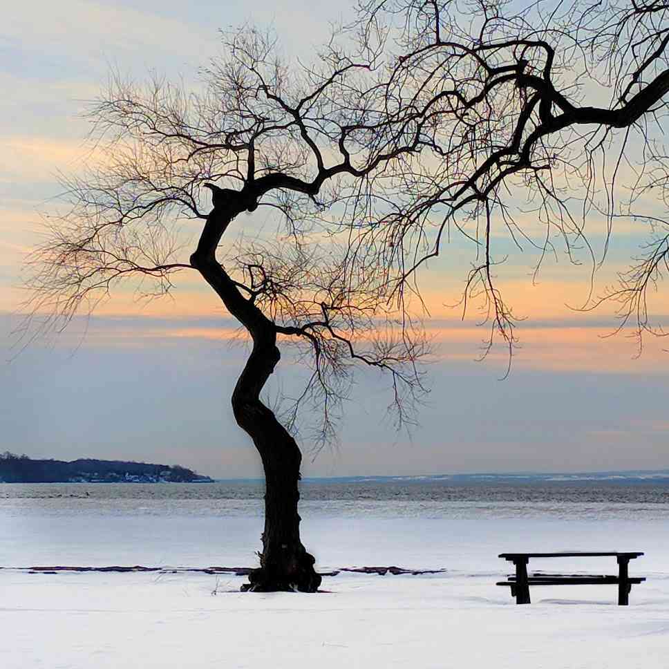 New York State Parks Seneca Lake Geneva