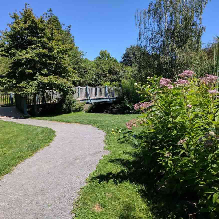 Webster Arboretum