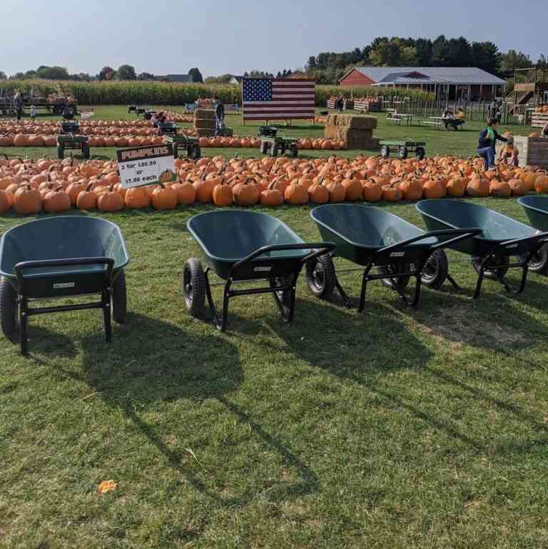 Pumpkin Patches & Farms Around Rochester Day Trips Around Rochester, NY