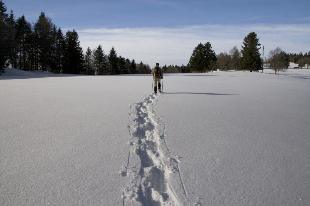 11 Best Places to Rent Snowshoes Around Rochester Day Trips Around