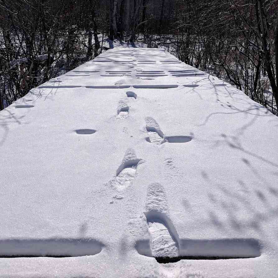footprints crossing a snow-covered bridge