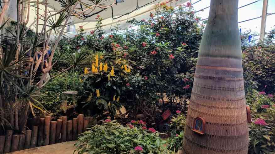 strong museum play butterfly garden cover