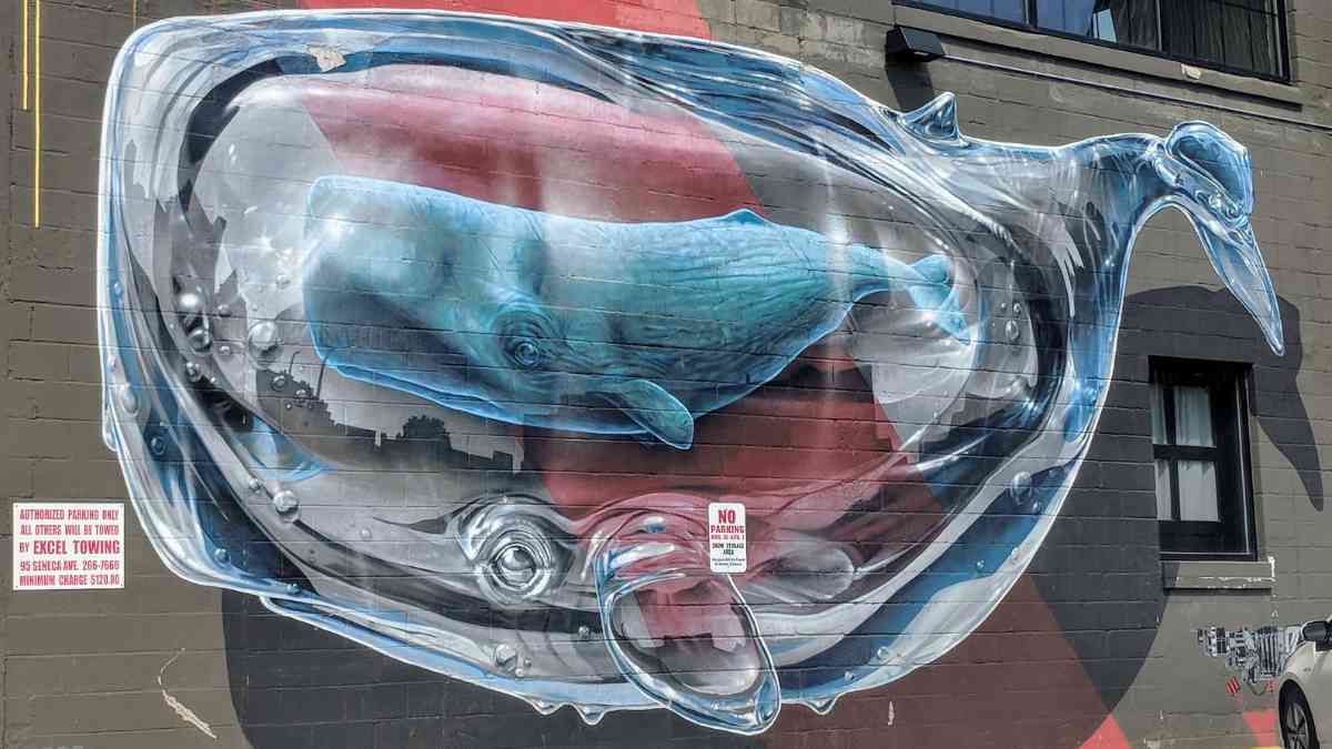 Street Art whale cover