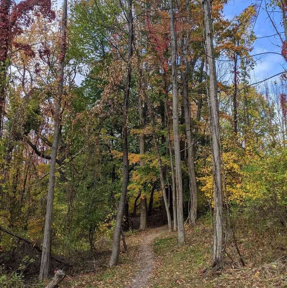 Fall Hikes - Whiting Road Nature Preserve