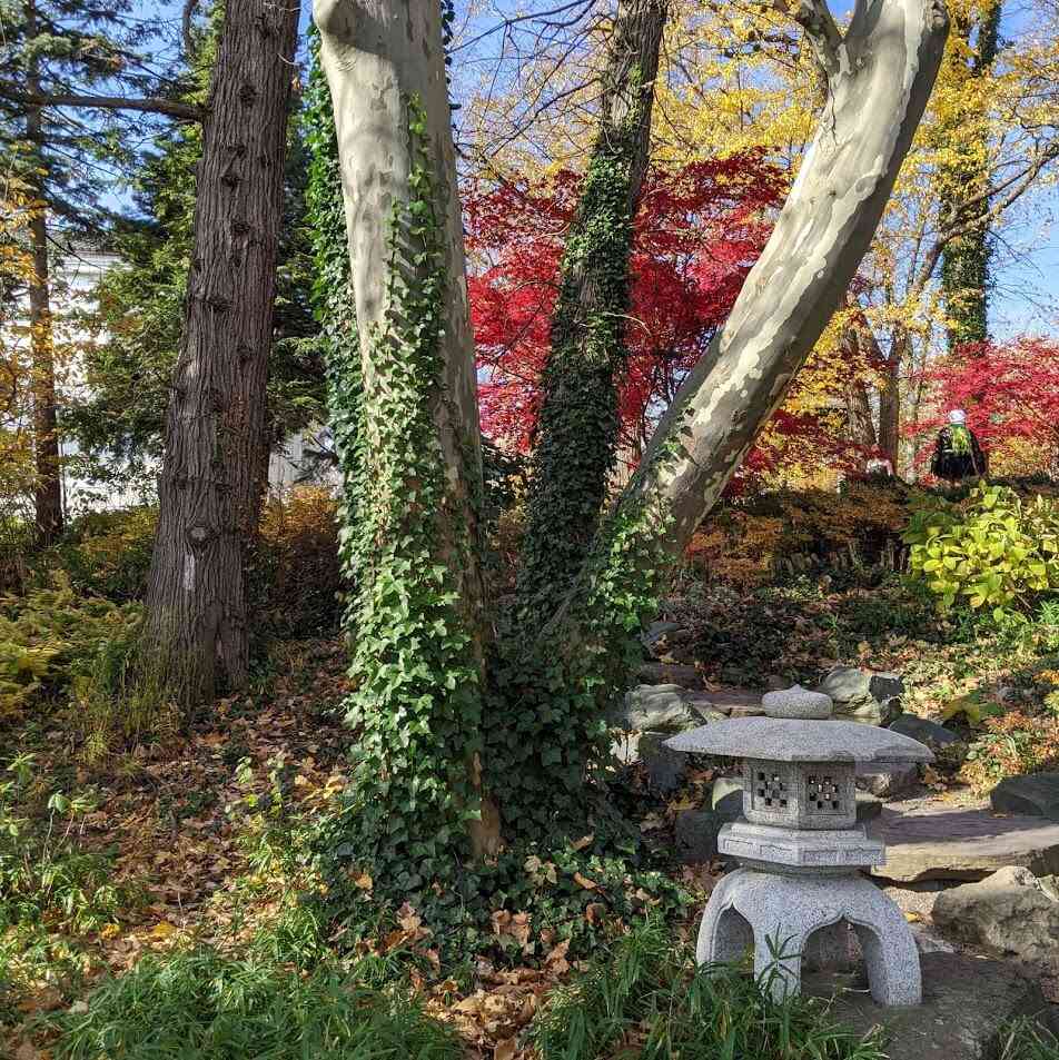 40 Public Gardens Around Rochester Day Trips Around Rochester, NY