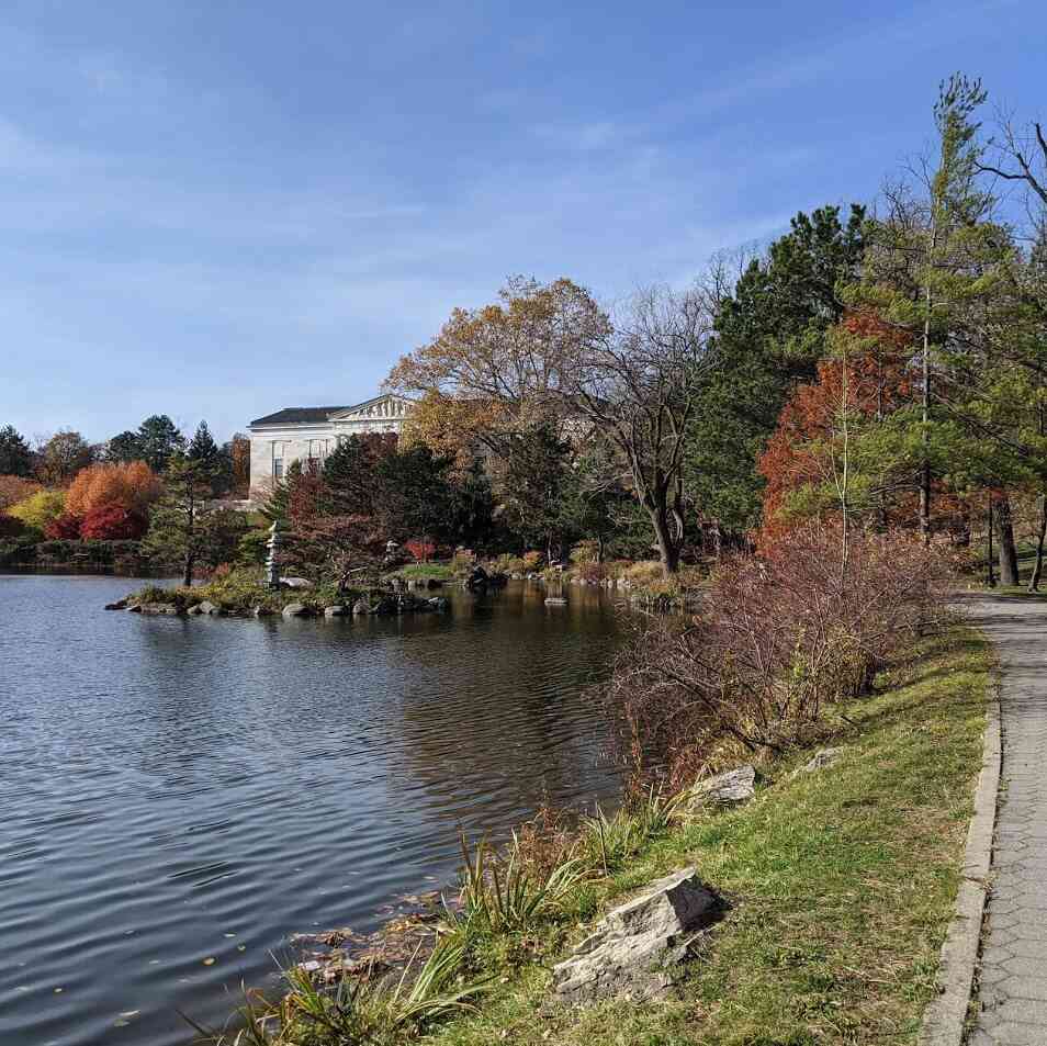 Japanese Gardens Buffalo path