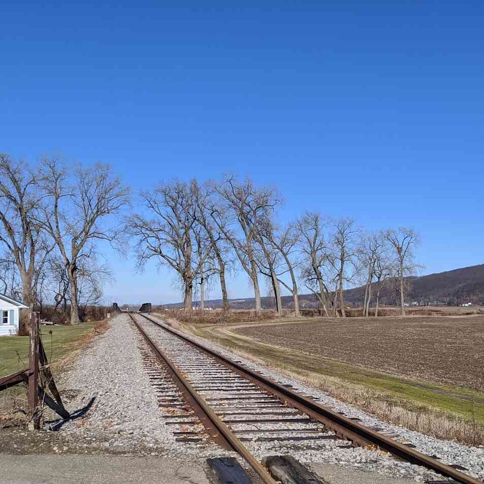 Dansville and Mount Morris Railroad