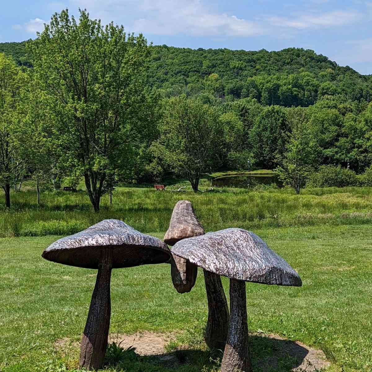 Griffis Sculpture park mushrooms