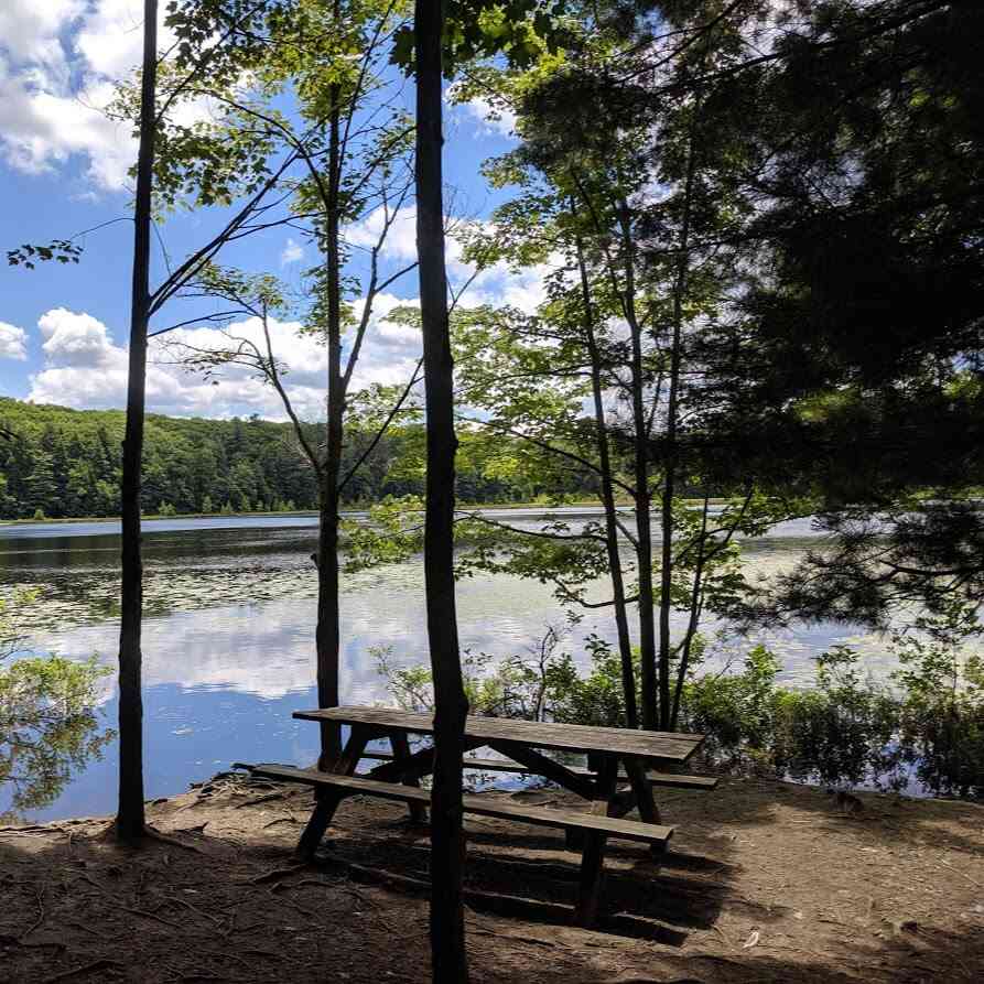 perfect picnic spot moss lake houghton