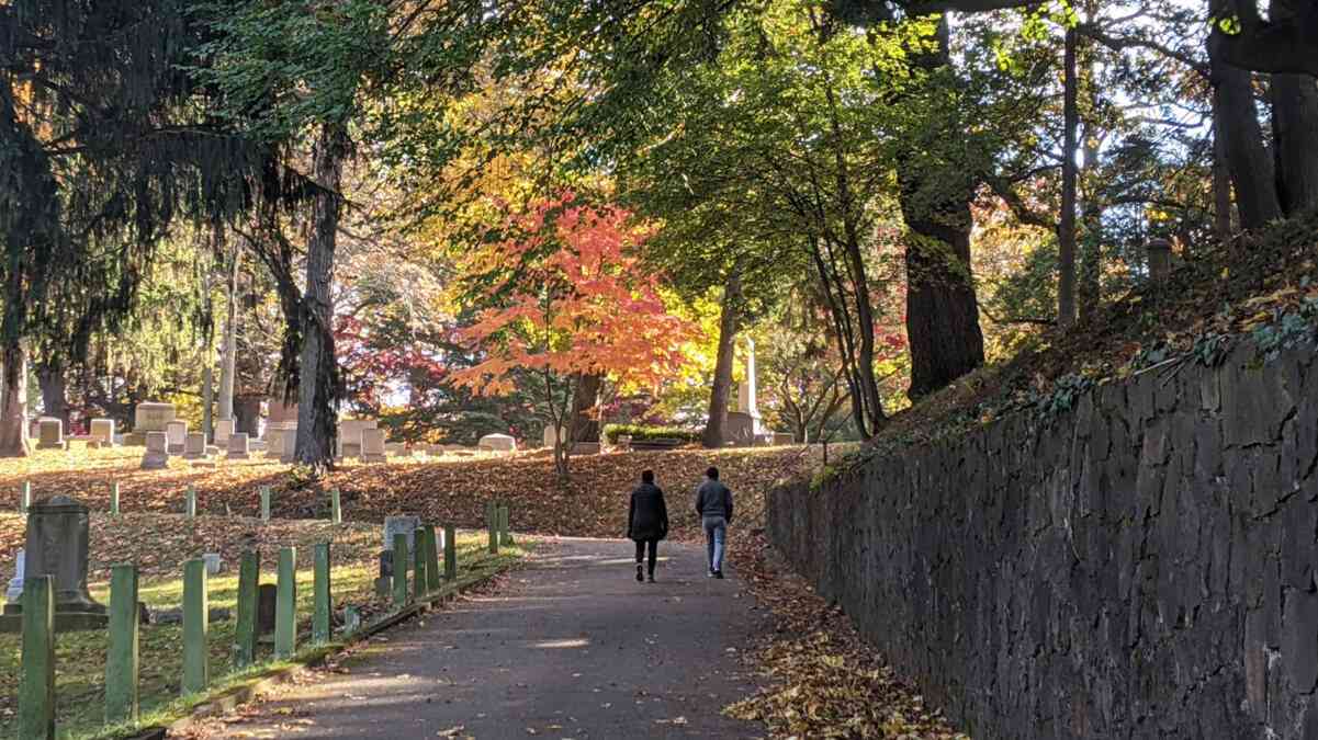 take a walk cover mount hope