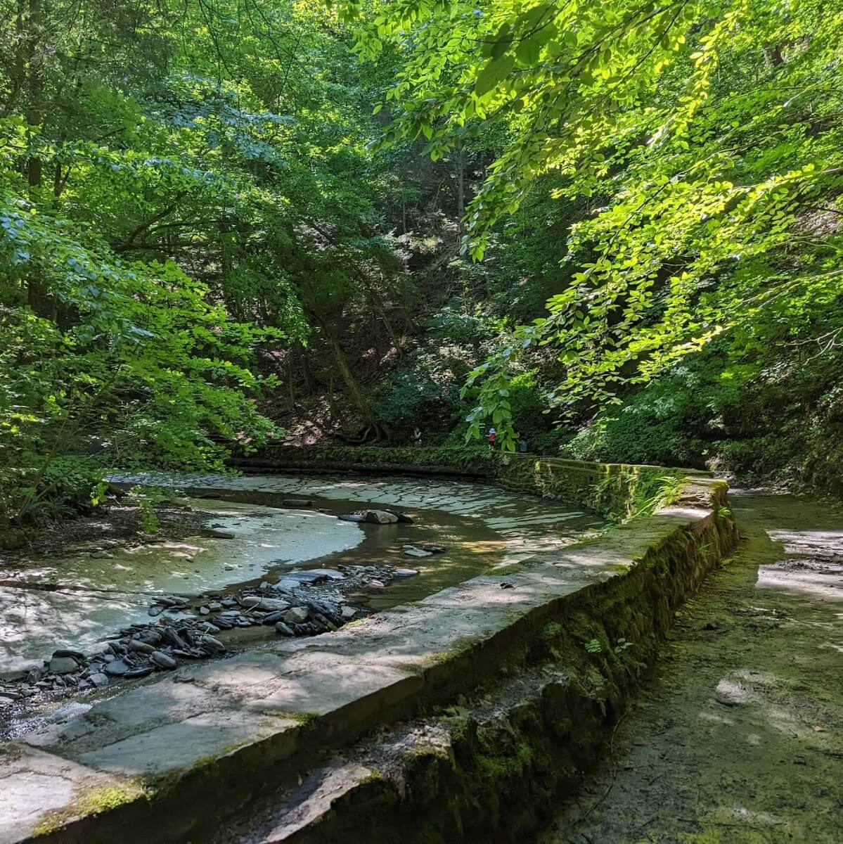 Fillmore Glen Dry Creek