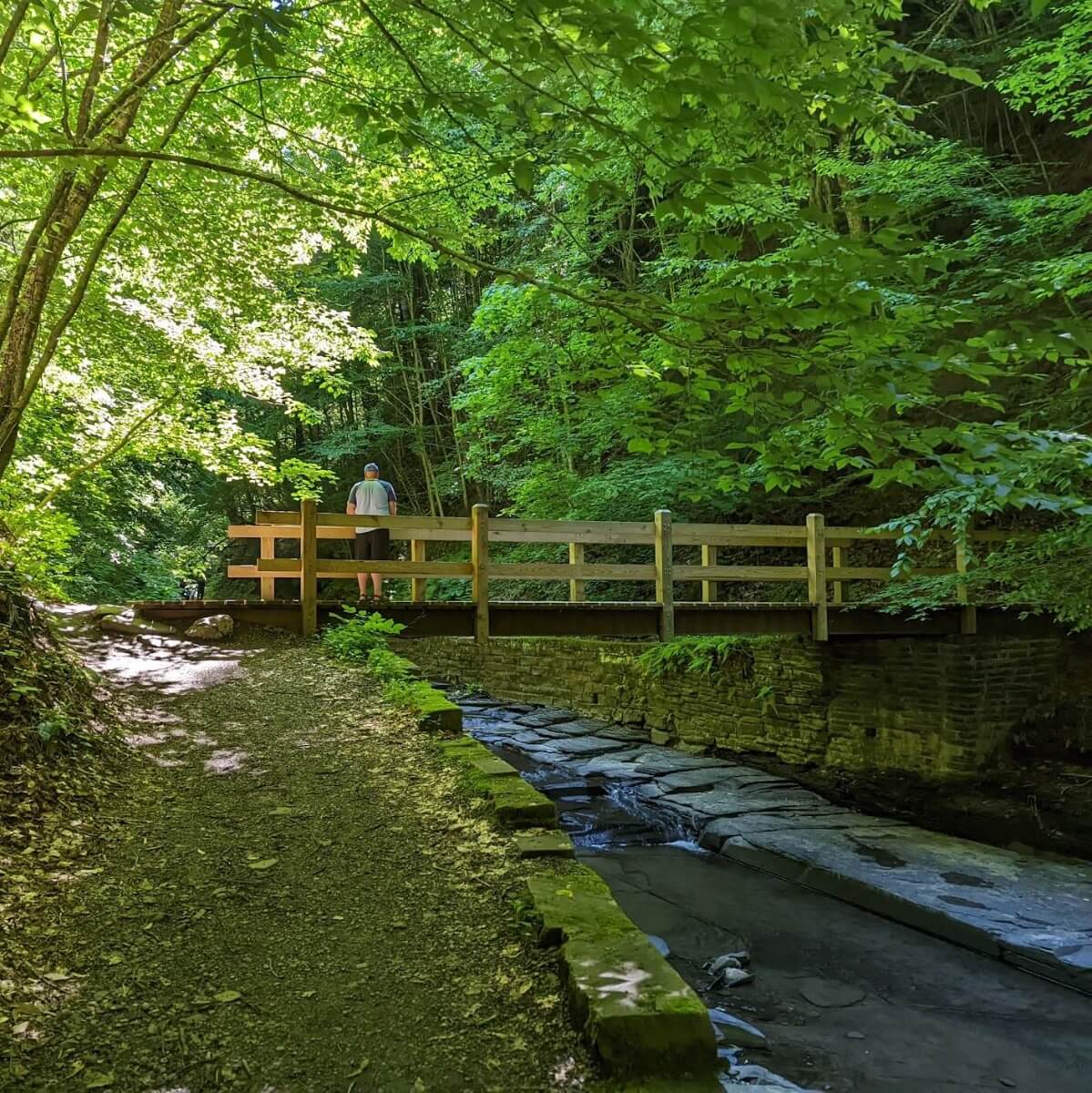 Fillmore Glen footbridge