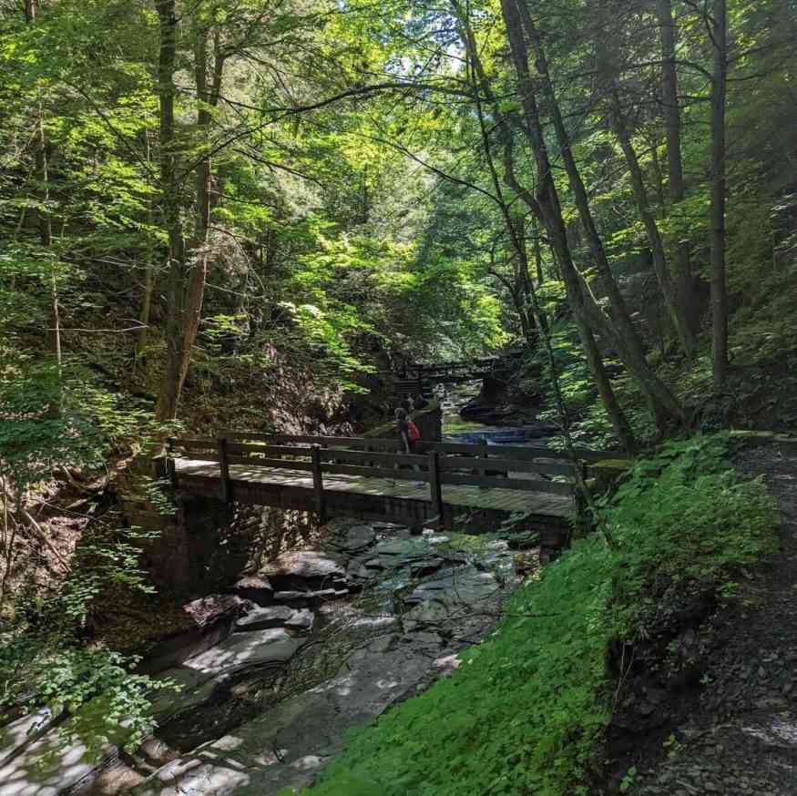 Fillmore Glen walking across bridge