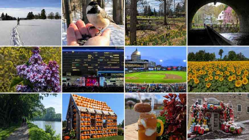 A Year in Rochester New York