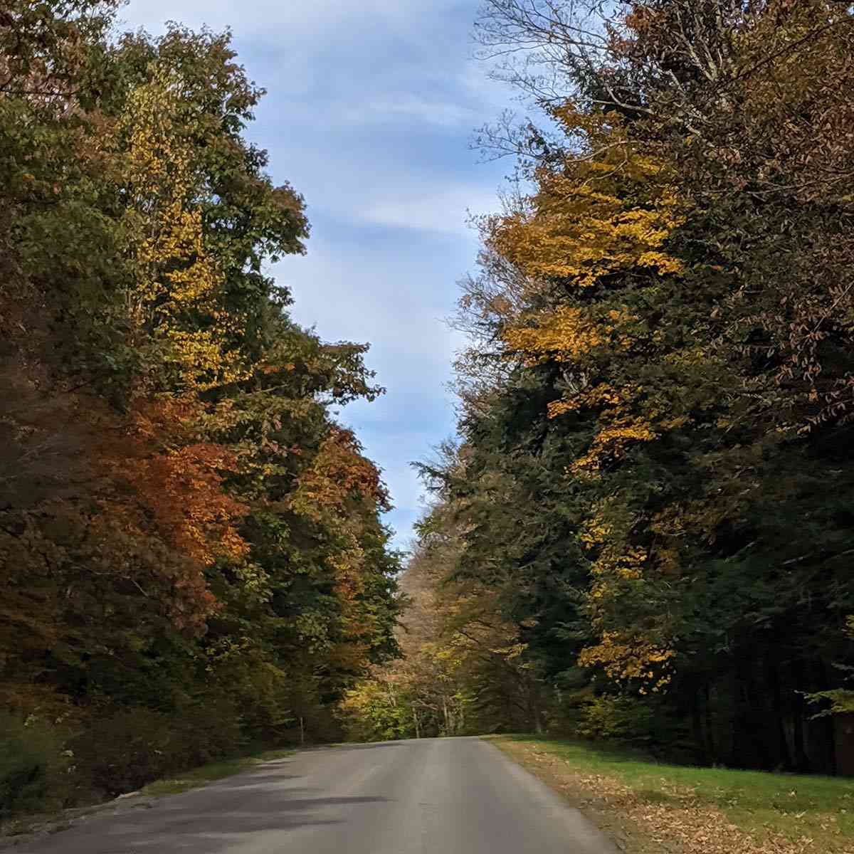 Allegany ASP-1 fall drive