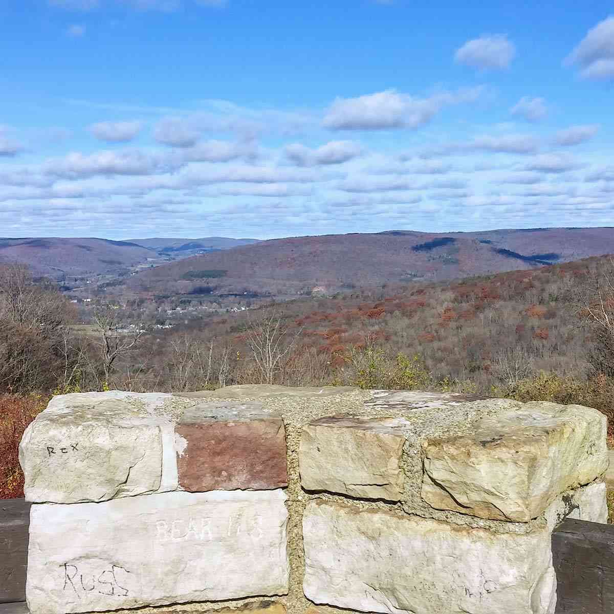 View from the Stone Tower in Allegany State Park