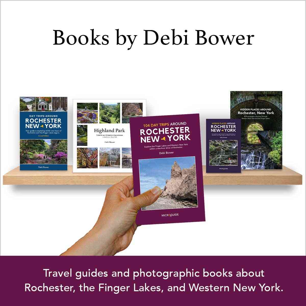 Books by Debi Bower promo
