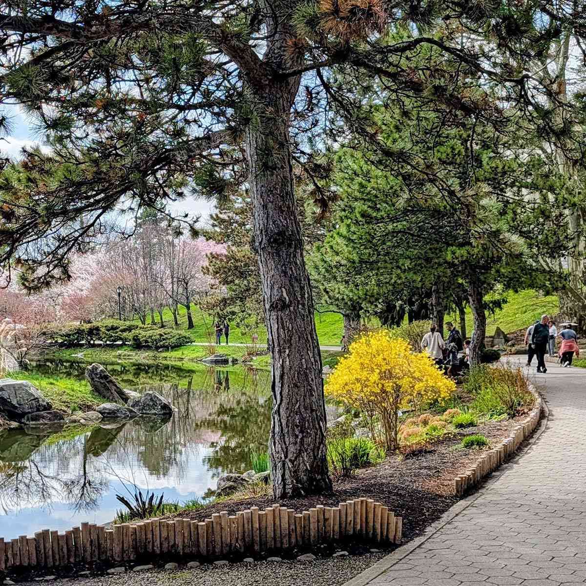Buffalo Deleware Park Japanese Garden path