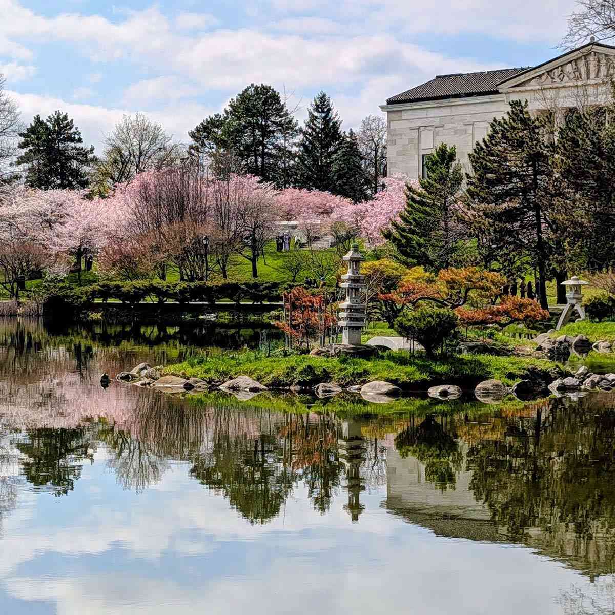 Buffalo Deleware Park Japanese Garden springtime