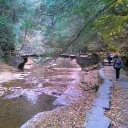 Buttermilk Falls State Park - Day Trips Around Rochester, NY