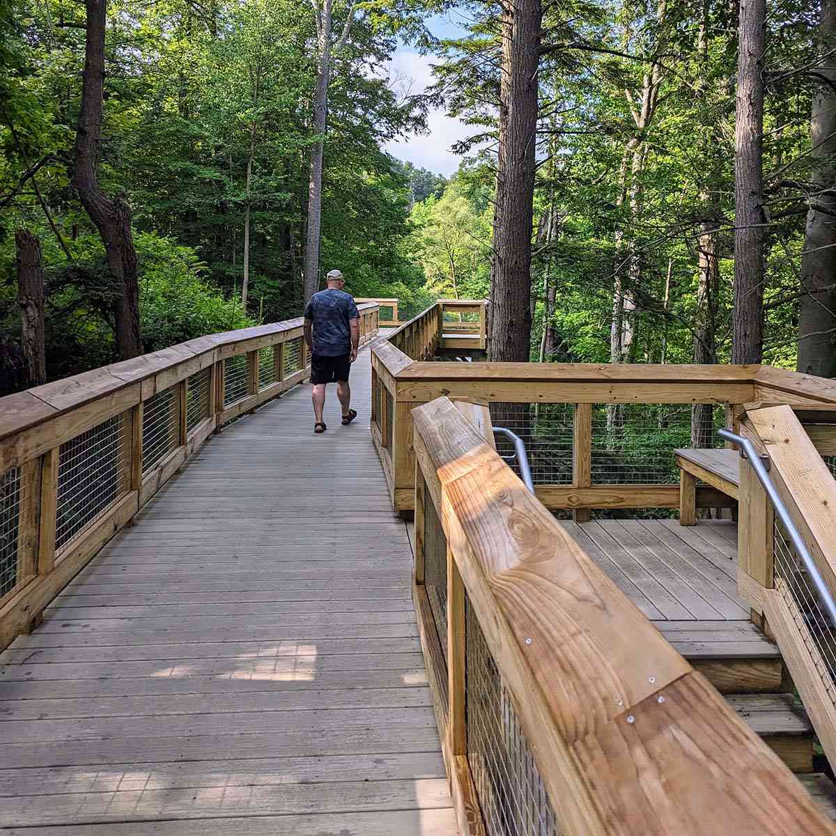 Carpenter Falls boardwalk stairs