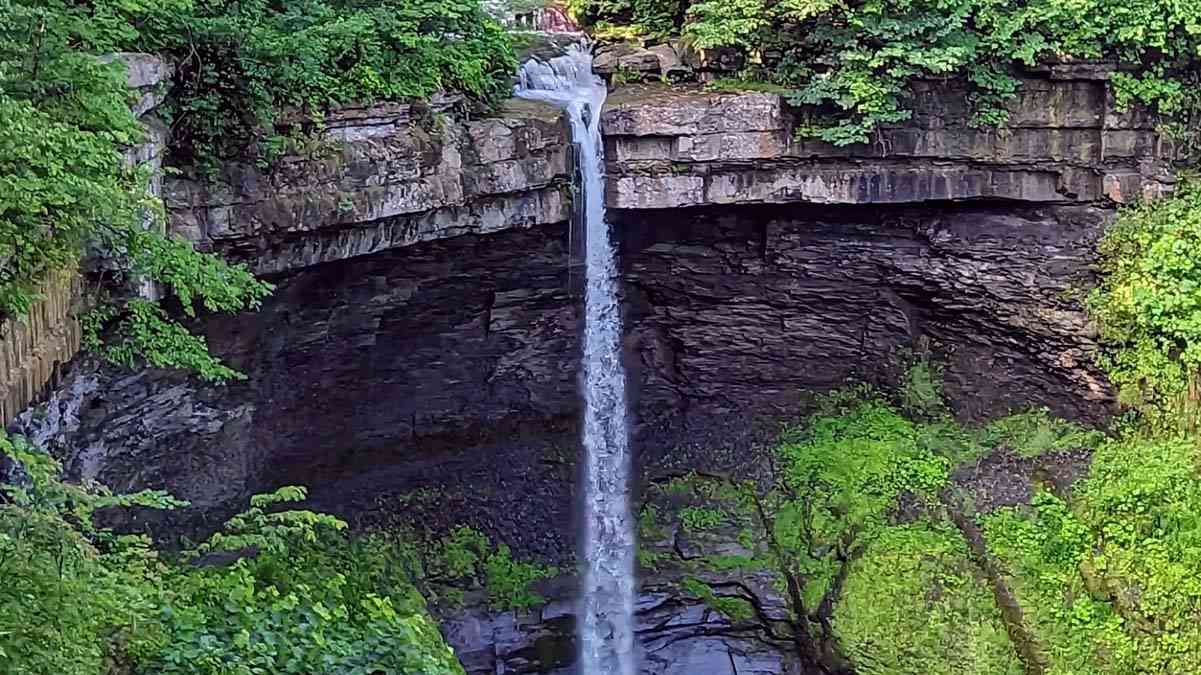 Carpenter Falls cover