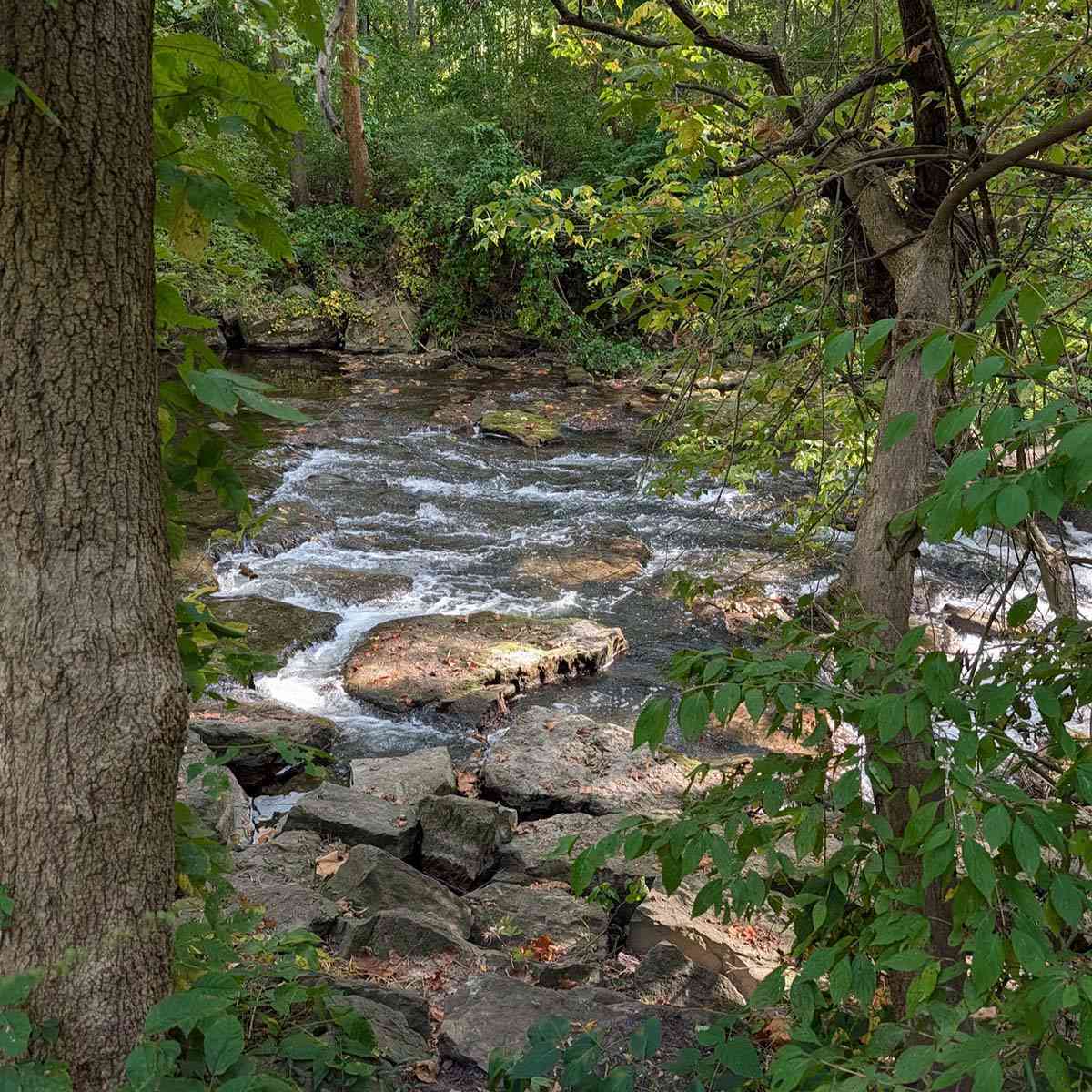 Channing H Philbrick Linear Park Irondequoit Creek