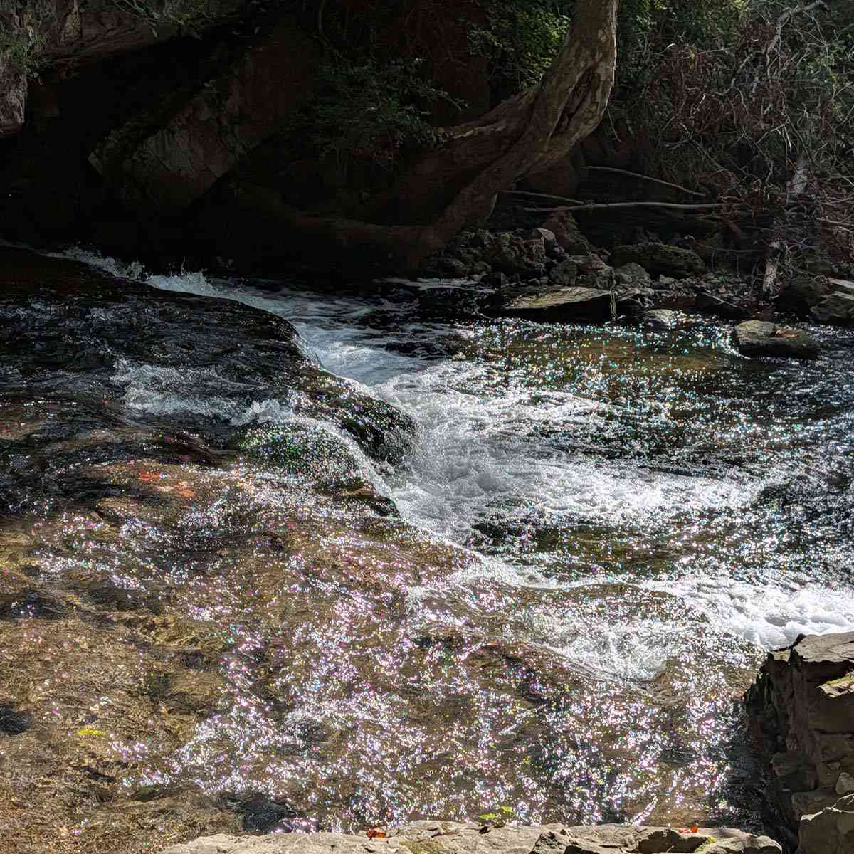 Channing H Philbrick Linear Park Irondequoit Creek