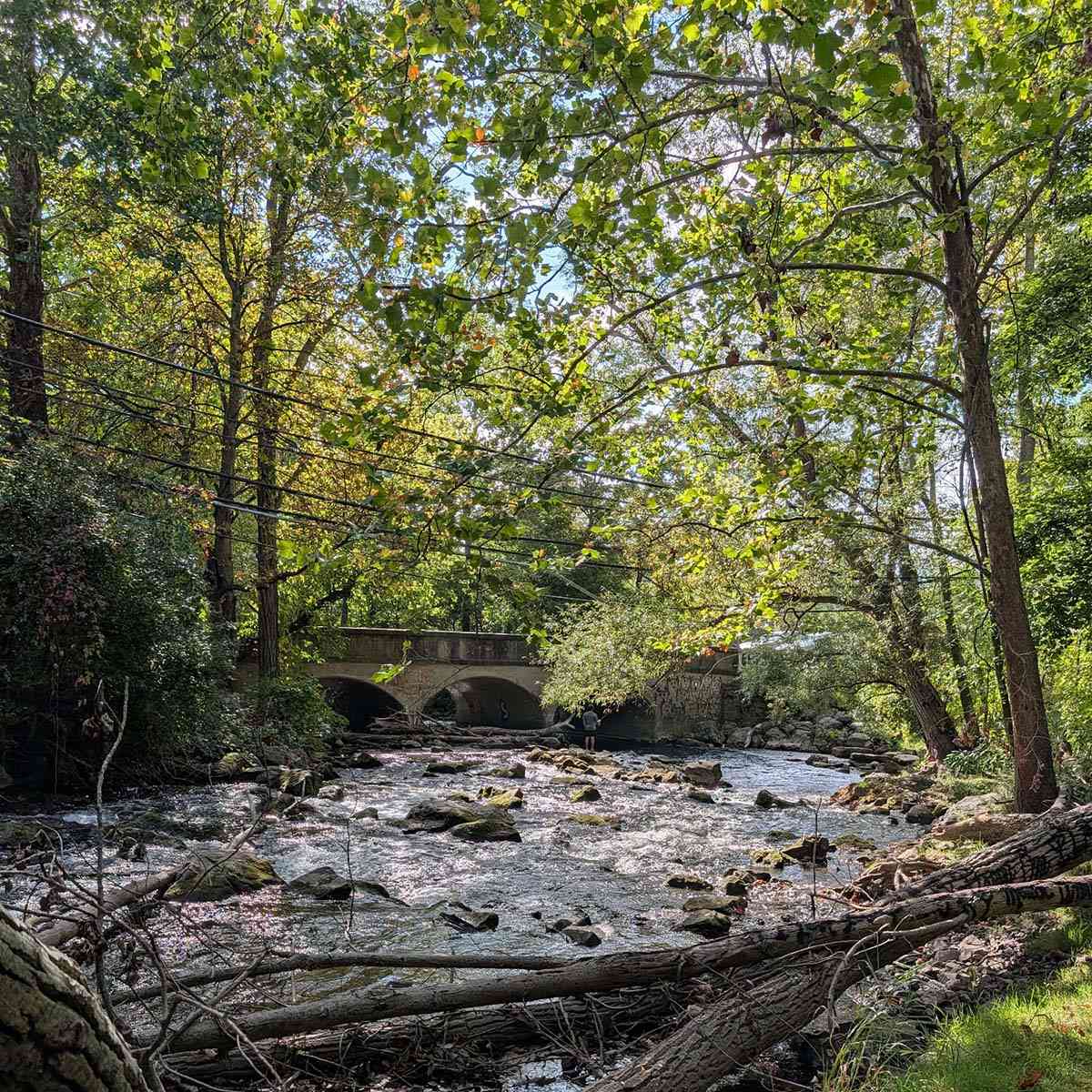 Channing H Philbrick Linear Park Irondequoit Creek