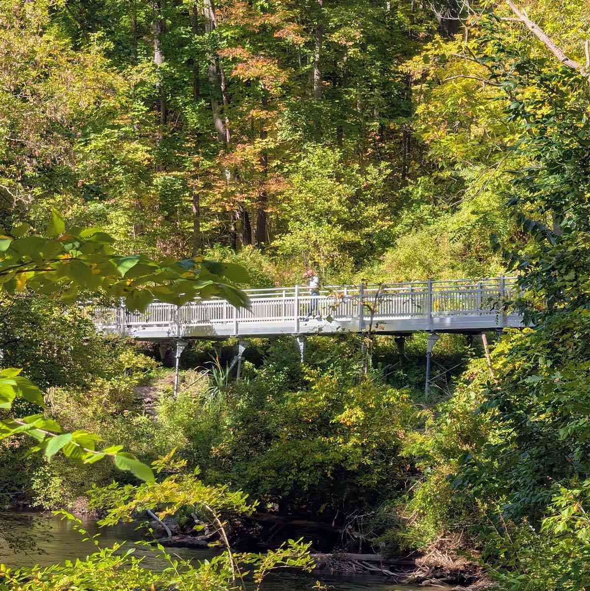 Channing H Philbrick Linear Park new 2025 boardwalk