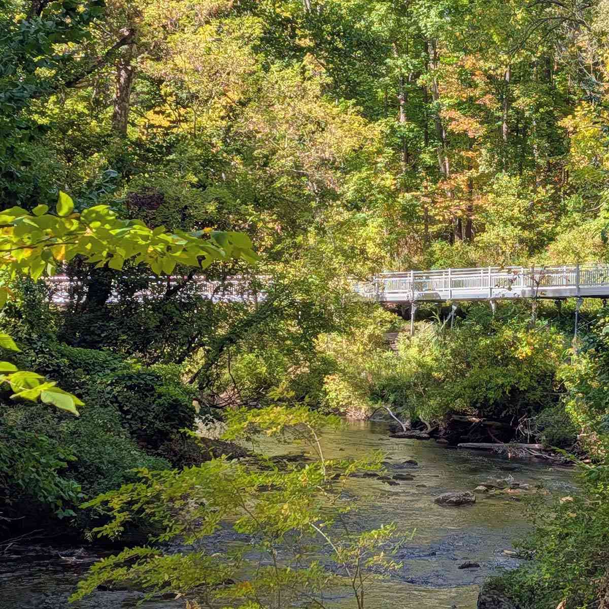 Channing H Philbrick Linear Park new 2025 boardwalk