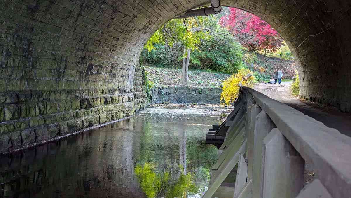 Corbetts Glen autumn fall cover