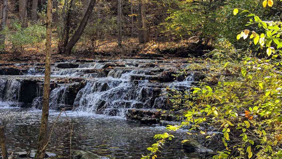 Corbetts Glen autumn fall cover