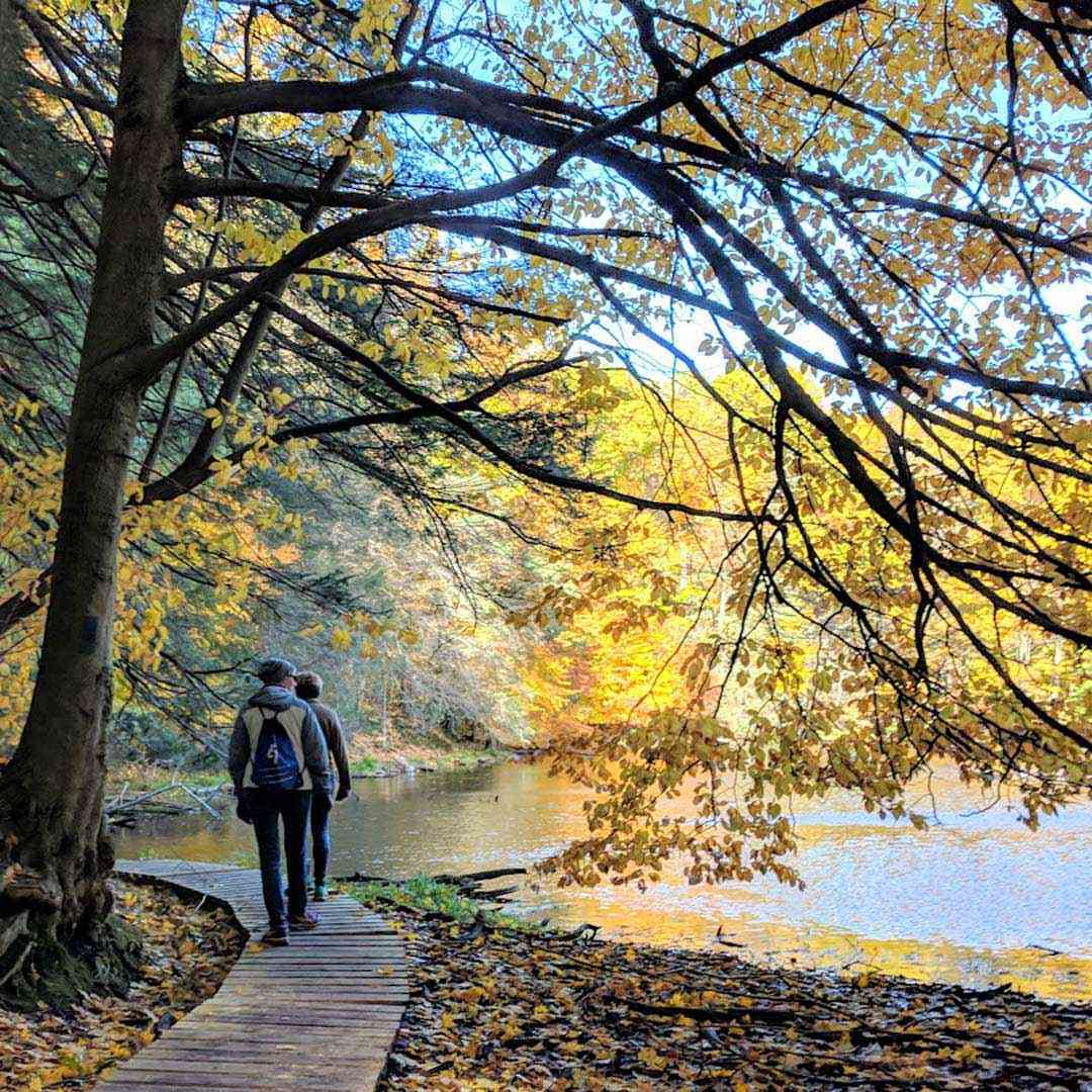 Fall Hikes - Rochester-area parks: Durand Eastman Park boardwalk