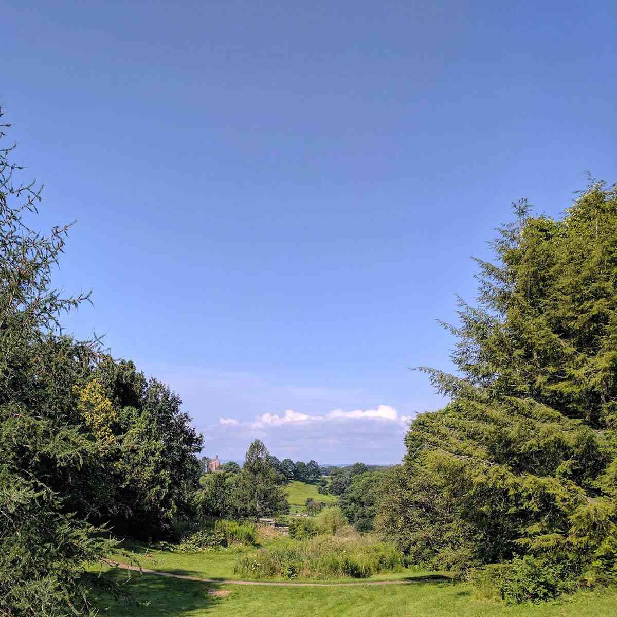 FR Newman Arboretum vista