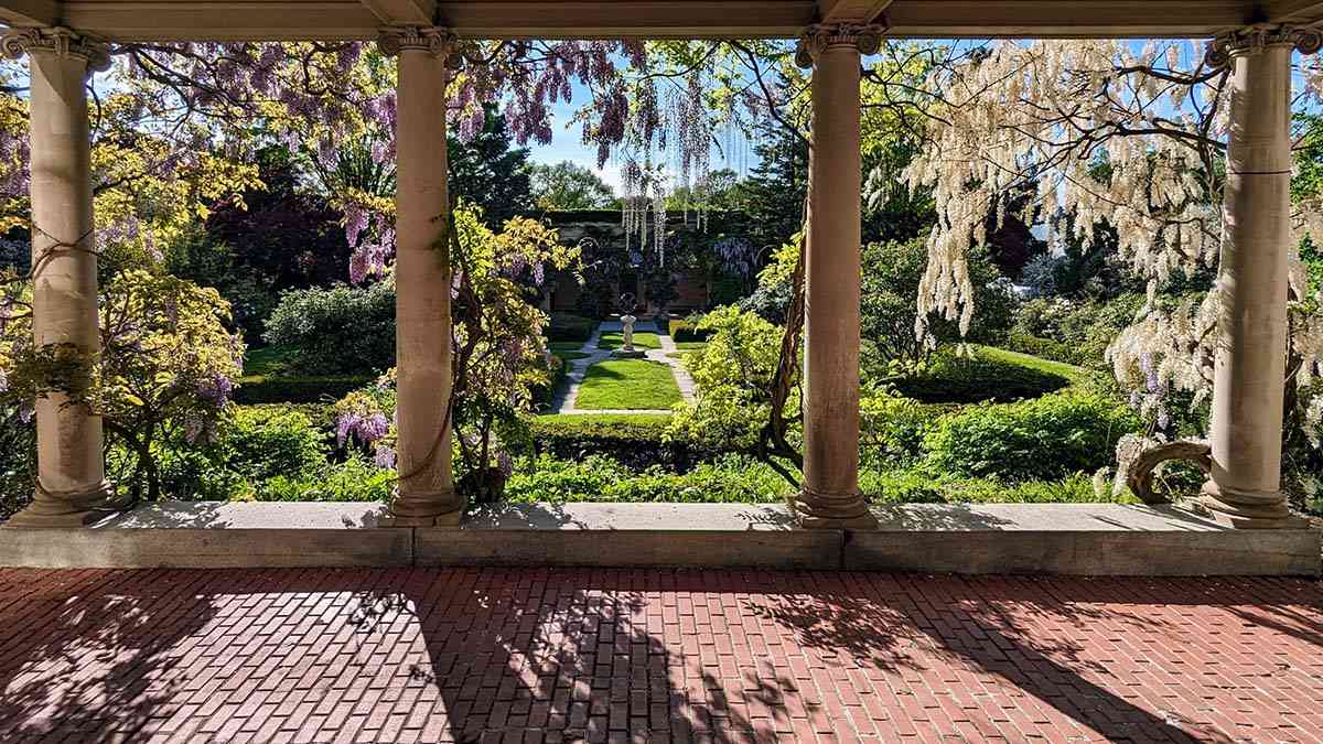 George Eastman Museum wisteria cover