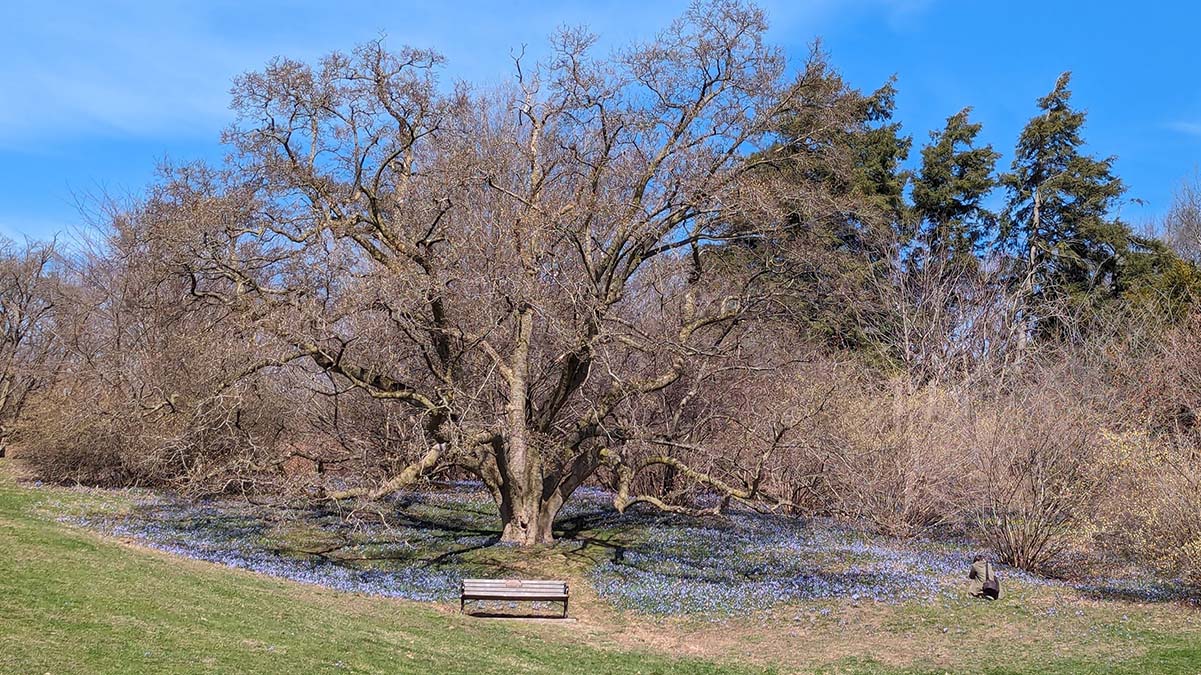 Highland Park March cover