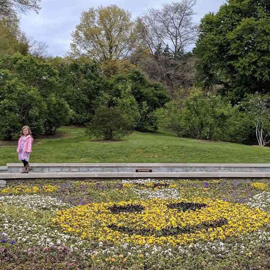 Highland Park Pansy Bed Smile