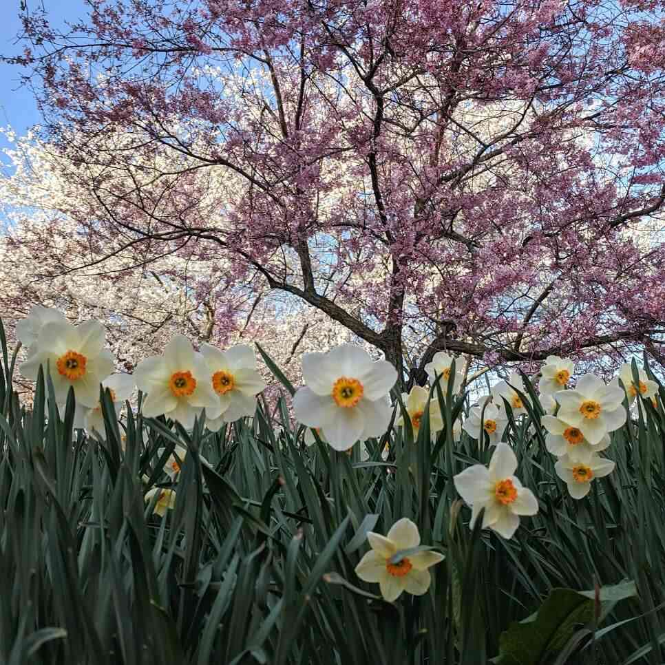 Springtime in Rochester - Day Trips Around Rochester, NY