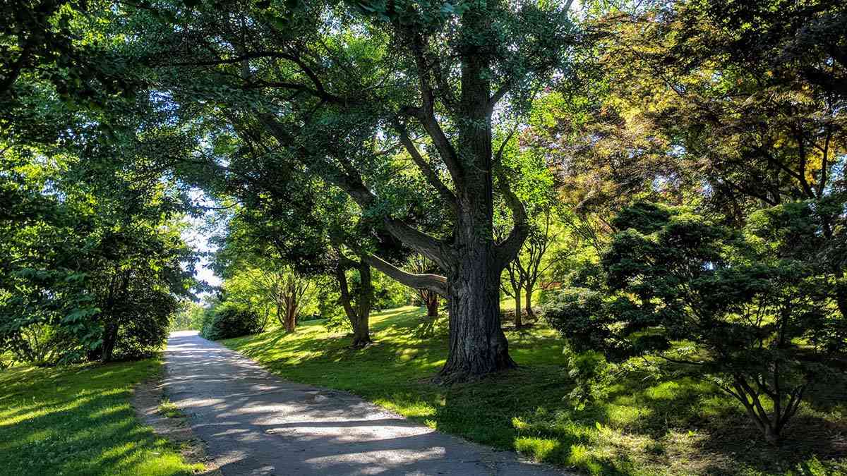 Olmsted Parks - Rochester - Highland Park