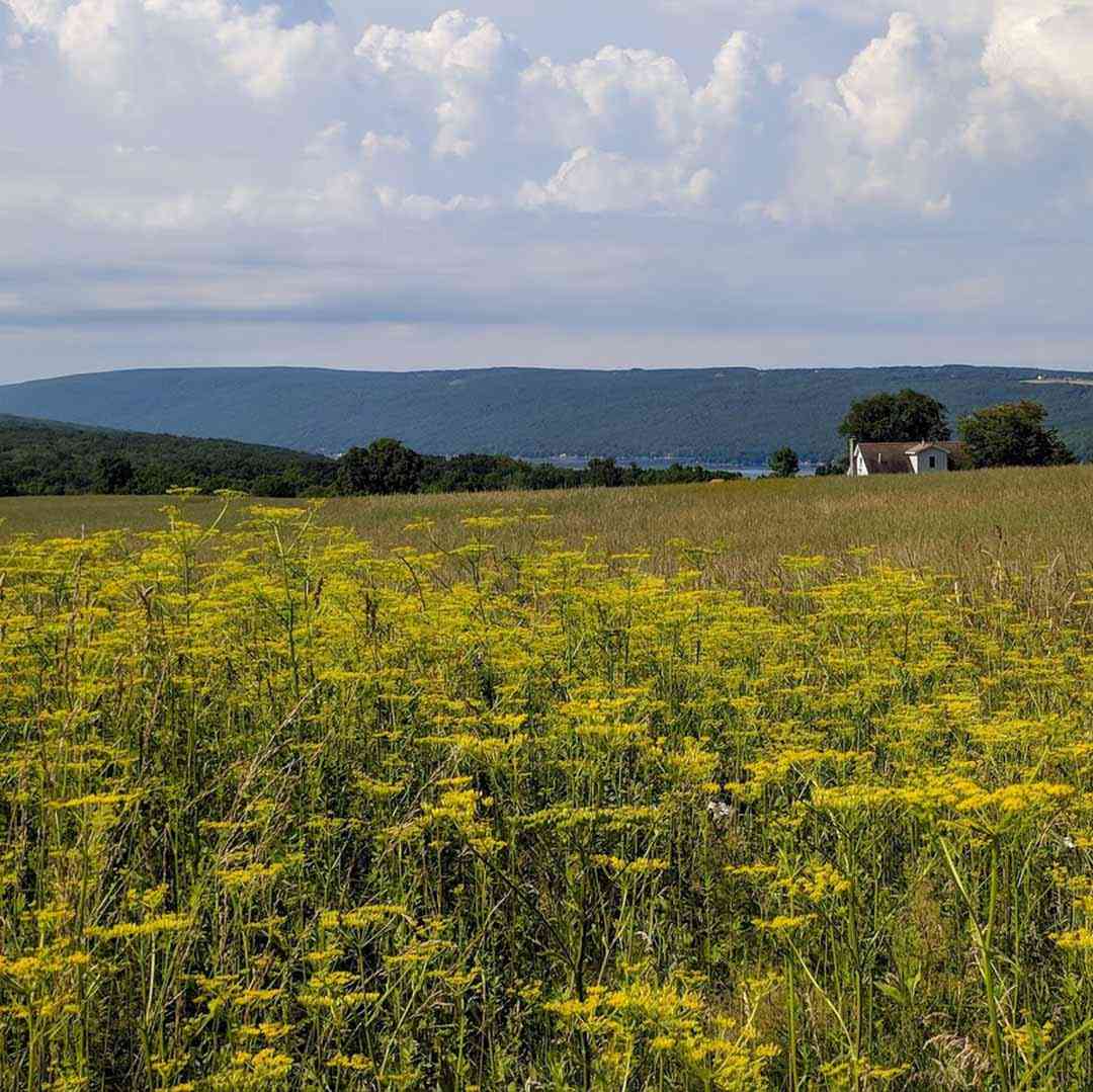 Honeoye Lake One of New York's 11 Finger Lakes Day Trips Around