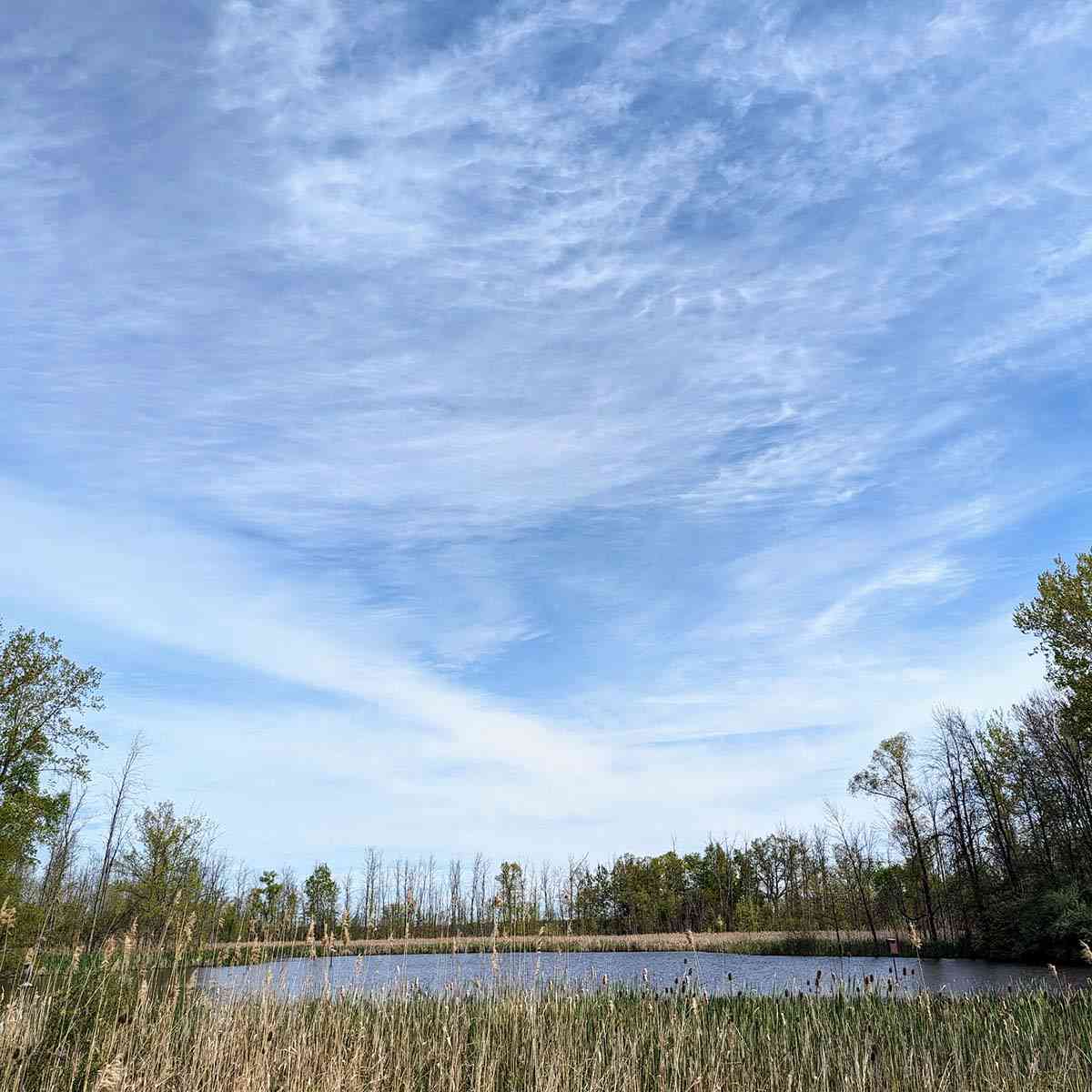 Iroquois National Wildlife Refuge pond