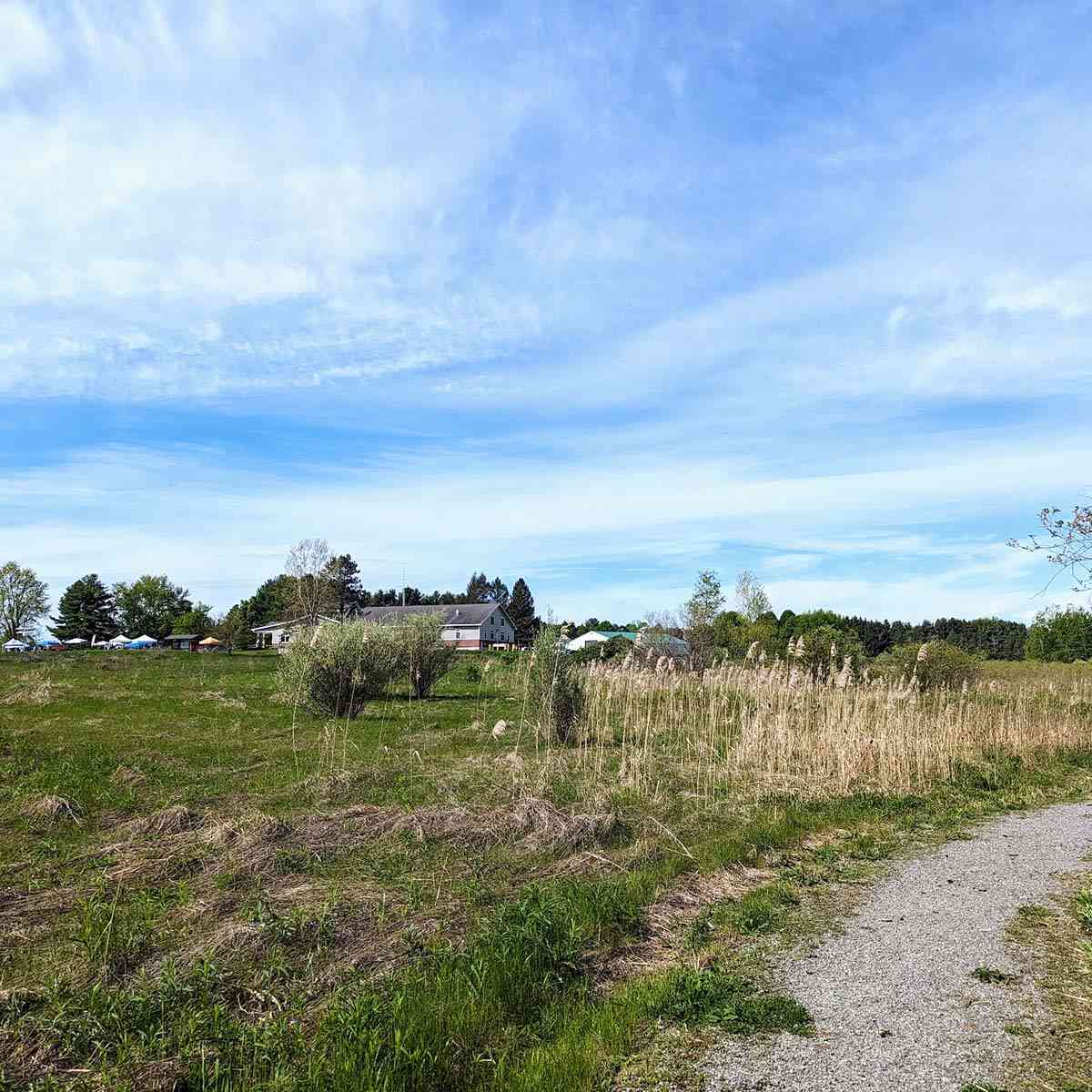 Iroquois National Wildlife Refuge trail