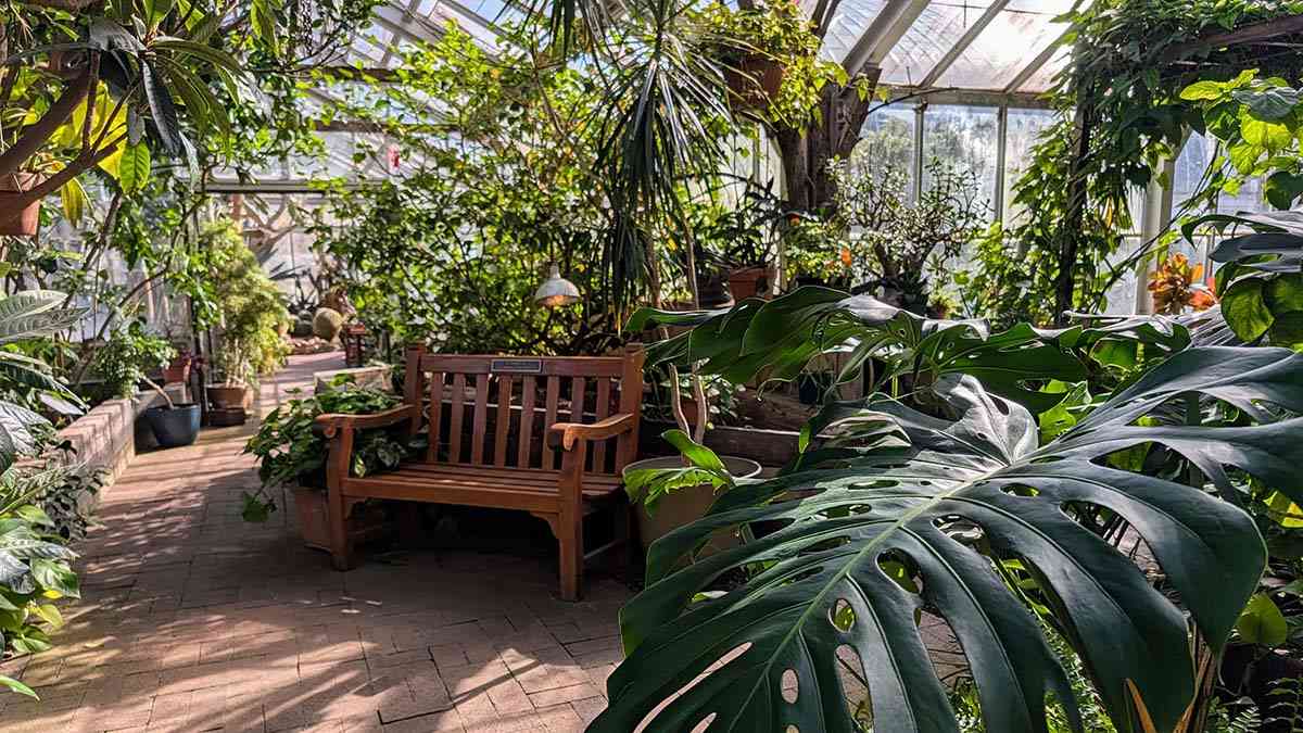 Lamberton Conservatory