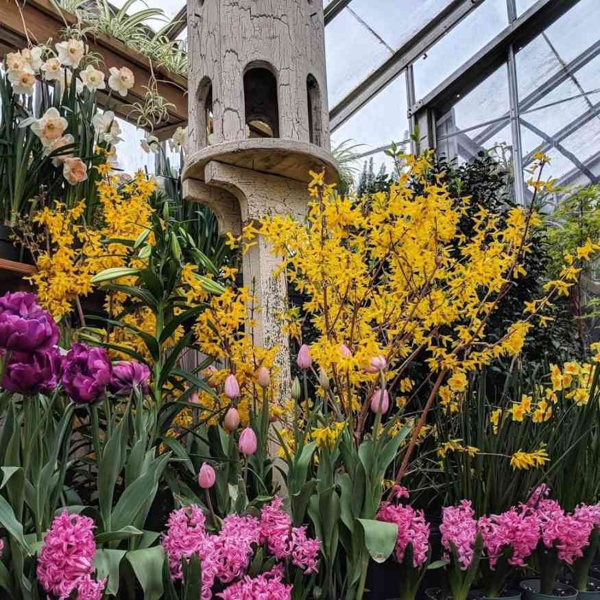 40 Public Gardens Around Rochester Day Trips Around Rochester, NY