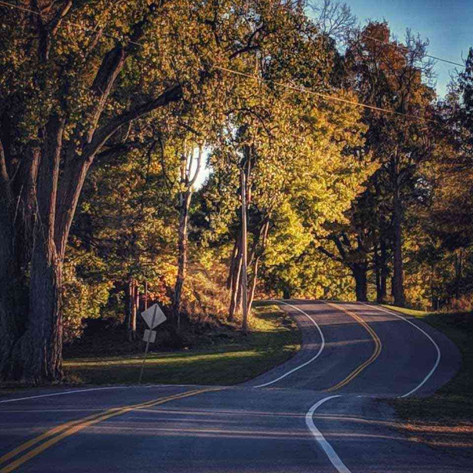 Mendon Ponds Park winding roads