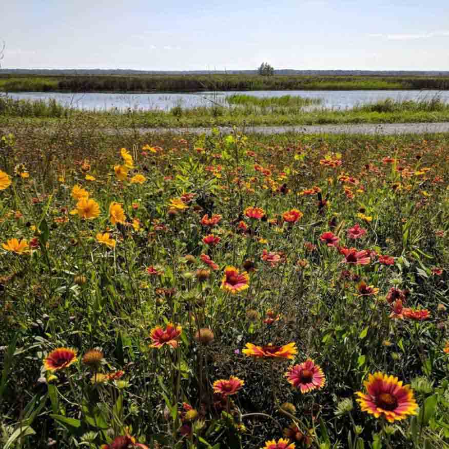 get away to Montezuma National Wildlife Refuge Black Lake